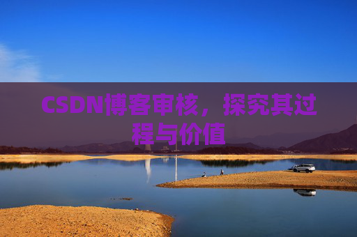 CSDN博客审核,探究其过程与价值